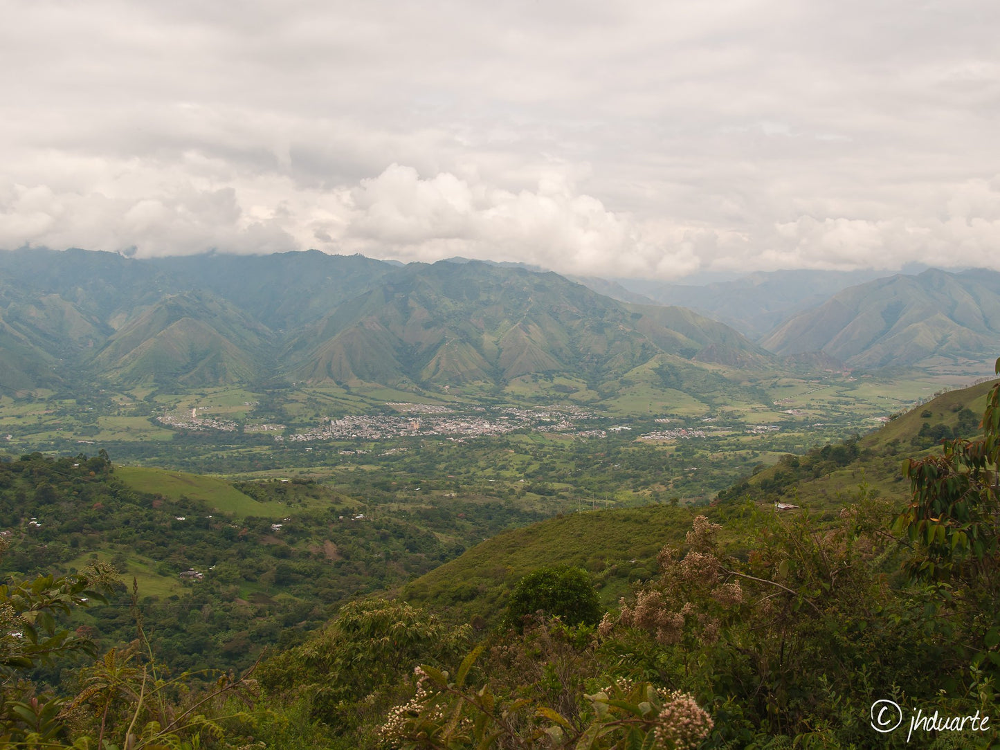 Regional Huila Decaf