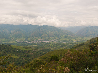 Regional Huila Decaf